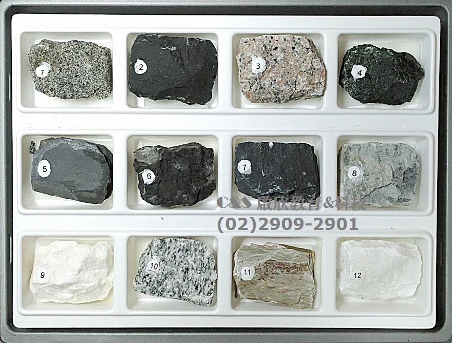 【岩石】綜合-標本組 6x8cm 三大類 火成+沉積+變質 各x4種=12種/箱